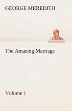 The Amazing Marriage - Volume 1