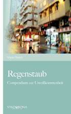 Regenstaub