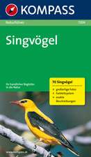 Naturführer Singvögel