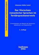 Der Wortschatz romanischer Sprachen im Tertiärsprachenerwerb