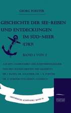 Geschichte Der See-Reisen Und Entdeckungen Im Sud-Meer (1787) Band 1 Von 2: Art Deserves a Witness