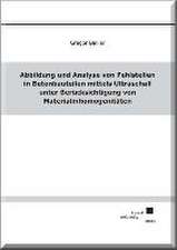 Abbildung und Analyse von Fehlstellen in Betonbauteilen mittels Ultraschall unter Berücksichtigung von Materialinhomogenitäten