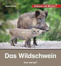 Das Wildschwein