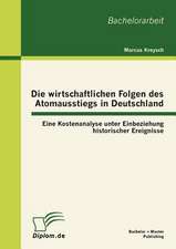 Die Wirtschaftlichen Folgen Des Atomausstiegs in Deutschland: Eine Kostenanalyse Unter Einbeziehung Historischer Ereignisse