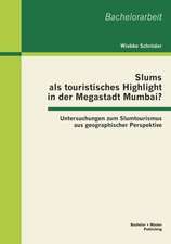 Slums ALS Touristisches Highlight in Der Megastadt Mumbai?: Untersuchungen Zum Slumtourismus Aus Geographischer Perspektive