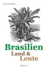 Brasilien - Land Und Leute: Die Entstehung Des Dieselmotors