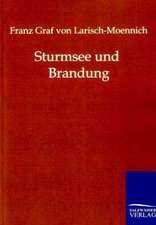 Sturmsee und Brandung