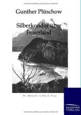 Silberkondor über Feuerland