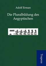 Die Pluralbildung des Aegyptischen