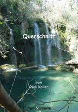 Querschnitt