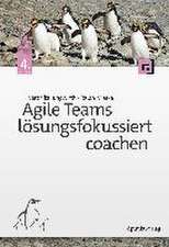 Agile Teams lösungsfokussiert coachen