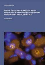 Nuclear-Factor-kappa-B Aktivierung in postganglionären sympathischen Neuronen der Ratte nach oparativem Eingriff