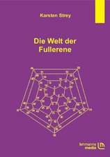 Die Welt der Fullerene