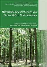 Nachhaltige Bewirtschaftung von Eichen-Kiefern-Mischbeständen