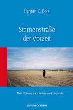 Sternenstraße der Vorzeit - Mein Pilgerweg nach Santiago de Compostela