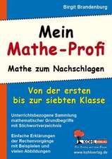 Mein Mathe-Profi Mathe zum Nachschlagen (bis 7. Schuljahr)