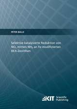 Selektive katalysierte Reduktion von NOx mittels NH3 an Fe-modifizierten BEA-Zeolithen