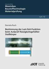 Bestimmung der Last-Zeit-Funktion beim Aufprall flüssigkeitsgefüllter Stoßkörper