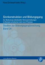 Sinnkonstruktion und Bildungsgang