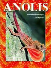 Anolis