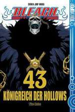 Bleach 43