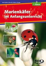 Der Marienkäfer im Anfangsunterricht