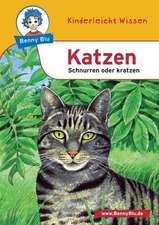 Benny Blu - Katzen - Schnurren oder Kratzen