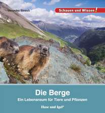 Die Berge