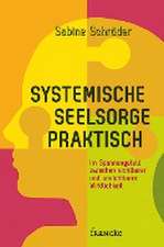 Systemische Seelsorge praktisch