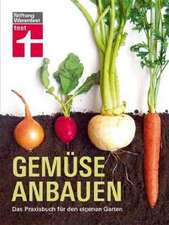 Gemüse anbauen