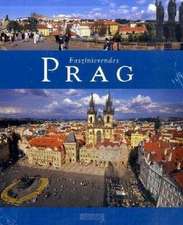 Faszinierendes Prag