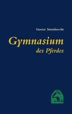 Gymnasium des Pferdes