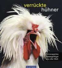 verrückte hühner