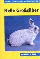 Helle Großsilber