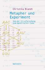 Metapher und Experiment