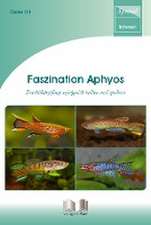 Faszination Aphyos