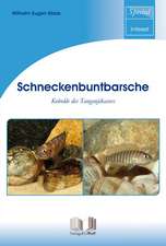 Schneckenbuntbarsche