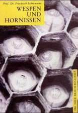 Wespen und Hornissen