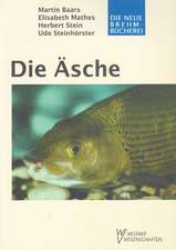 Die Äsche