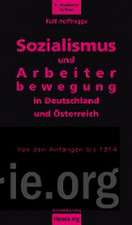 Sozialismus und Arbeiterbewegung in Deutschland und Österreich