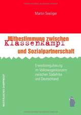 Mitbestimmung zwischen Klassenkampf und Sozialpartnerschaft