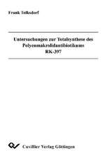 Untersuchungen zur Totalsynthese des Polyenmakrolidantibiotikums RK-397