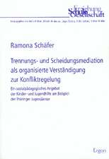 Trennungs- und Scheidungsmediation als organisierte Verständigung zur Konfliktregelung