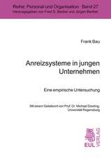 Anreizsysteme in jungen Unternehmen