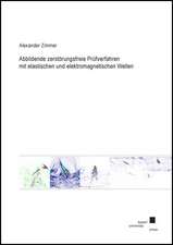 Abbildende zerstörungsfreie Prüfverfahren mit elastischen und elektromagnetischen Wellen