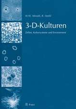 3-D-Kulturen