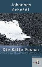 Die kalte Fusion