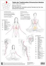 Eckert, A: Tao Training Meridiantafel Feuer 2 Element