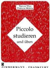 Piccolo studieren und üben