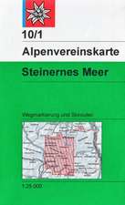 DAV Alpenvereinskarte 10/1 S Steinernes Meer 1 : 25 000 Wegmarkierungen und Skirouten